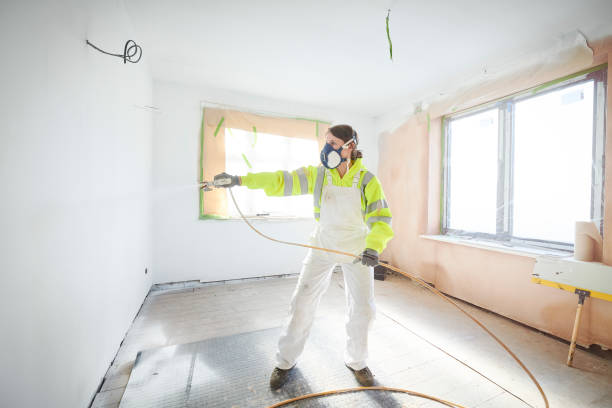 Best Water Damage & Mold Remediation  in St John, KS